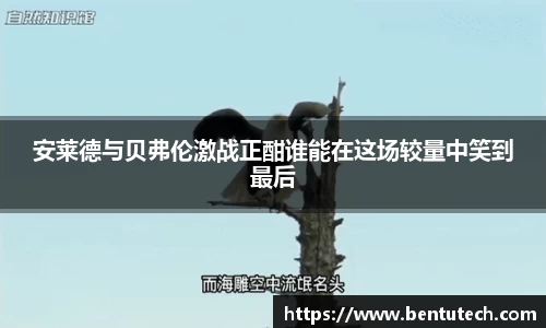 365上市公司平台